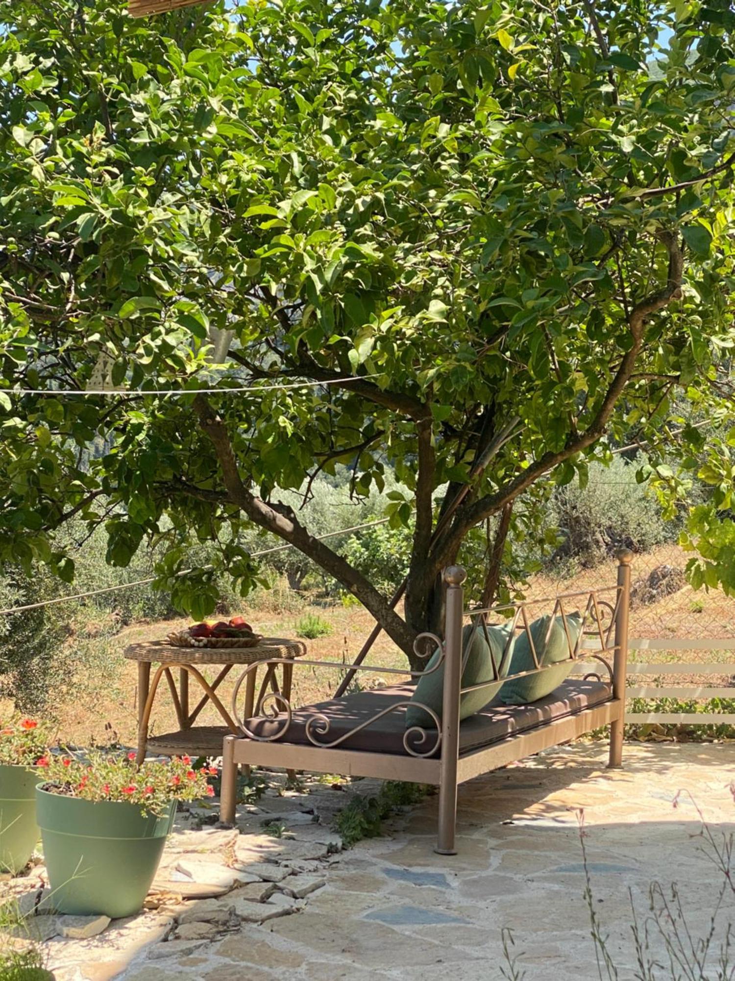 Dinateli Houses - Live Like A Local In Corfu Kastellanoi  Exterior foto